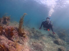 ̗tR_CrOT[rXւ̓eʐ^1