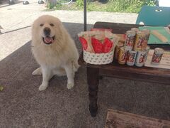 YUNÃBgJ̓]ւ̓eʐ^1