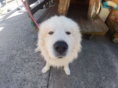 񂳂̐AEghAZ^[(X)ւ̓eʐ^1