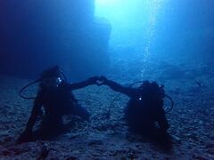 JgCk̖` ꑍAEghAcA[Xւ̓eʐ^1