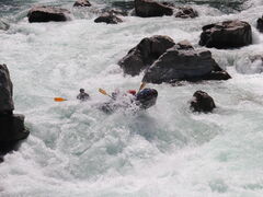 �����������ODSS�l���s���t�e�B���O���V�����[�N���C�~���O�t�ւ̓��e�ʐ^1