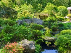伝来寺庭園】アクセス・営業時間・料金情報 - じゃらんnet