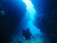 䂤낳̃_CrOVbv@[Oւ̓eʐ^1