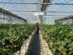 ��������̕x�ÃA�N�A�t�@�[���ւ̓��e�ʐ^1