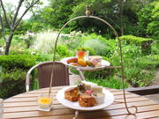 jR񂳂̐ΗqK[feX̓eʐ^1