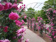 TNTN̂Ӄ[hE[YK[f̓eʐ^4