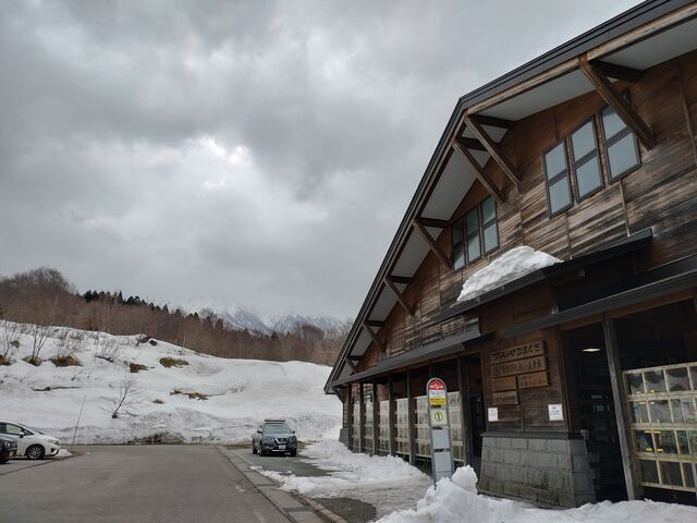 �A���p���܂����O��
_�A���p���܂���