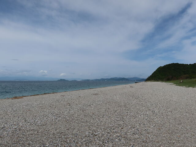 ���΂̕l_����l