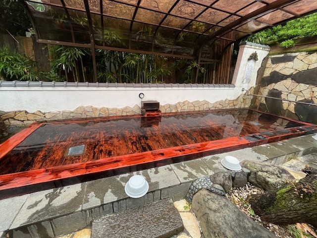 �����I�V���C�u�ٓV�̓��v_�L�򎛉���