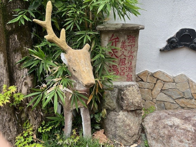 �����I�V���C�u�ٓV�̓��v_�L�򎛉���