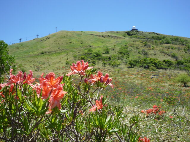 QccWƎԎRR_ԎR̃QccW