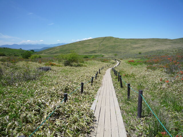 X[Rւ̖ؓ
͂ꂽQccWE_ԎR̃QccW