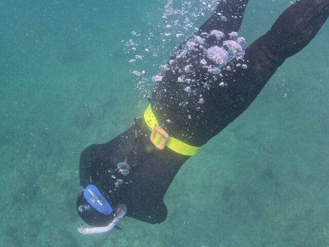 ���������ċ��ɋ߂Â��Ă݂邱�Ƃ��ł��܂����B
���鎞�̃R�c�������Ă��������܂����B_�t�R�_�C�r���O�T�[�r�X