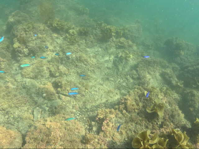 ���Ȃǂɂ́A�����ȋ������łȂ��܂��܂��傫�ȋ����j���ł��܂����B_�t�R�_�C�r���O�T�[�r�X