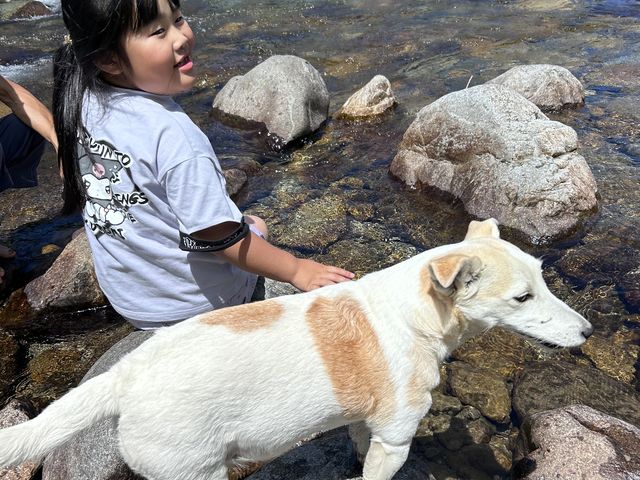 �݂��񂿂��Ɗy������V��_�쌴�̃~���[�W�A��