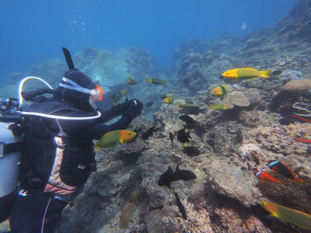 �J���t���Ȃ������񂽂��I_�_�C�r���O���J�k�[�X�蒃��