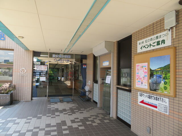 L̓̉w ̐X܂̂̓eʐ^3