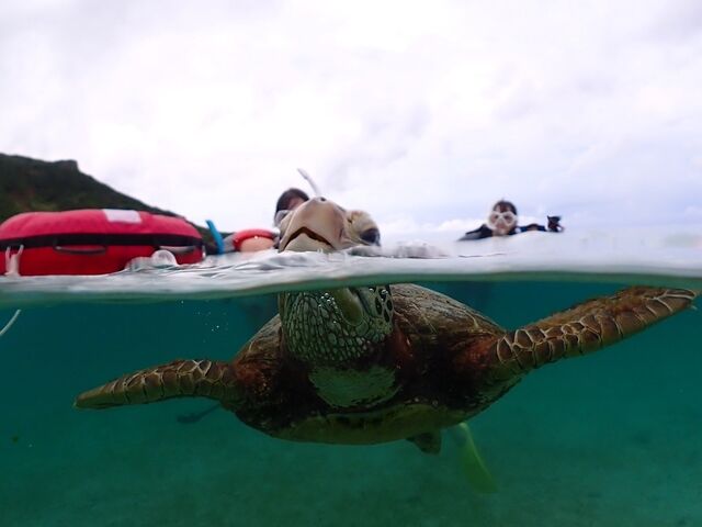 ���p���̗l�q���ԋ߂ŁI_�{��blue�܂ق��