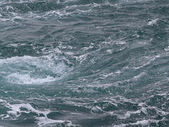 yosshŷN[Yւ̓eʐ^4