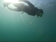 肳̗tR_CrOT[rXւ̓eʐ^1