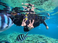 €ʁ[̃}Nu Gigiւ̓eʐ^1