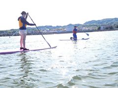 悵̒WHSUPJbNēւ̓eʐ^1