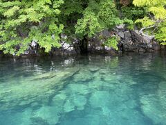 񂳂̏\ac΃p[X|bgN[Yւ̓eʐ^1