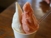 yosshy�����G.�G�����̓��e�ʐ^3