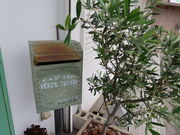 yosshyVERDE TENERO̓eʐ^3