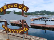 yosshŷ̂ЂhtBt@[̓eʐ^1