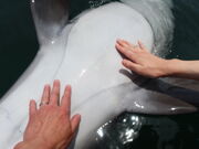 yosshŷ̂ЂhtBt@[̓eʐ^5