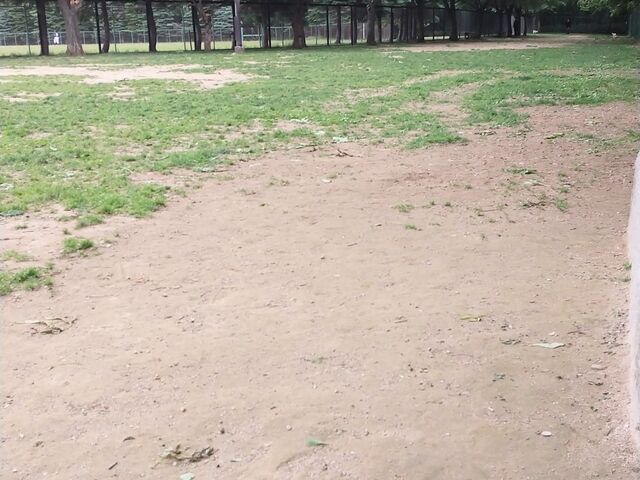 ���ɂ����тĂ��܂�_�M������h�b�O����