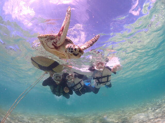 ���ɂ��������񂢂��ʐ^���B���Ă���܂����I_CHAMP TOUR �{�Ó�