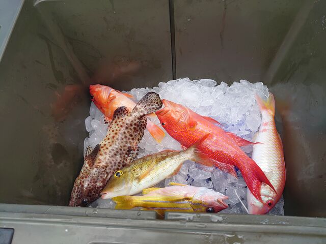 Œނ𗿗Ă邨XЉĂ݂łB_ނD@h