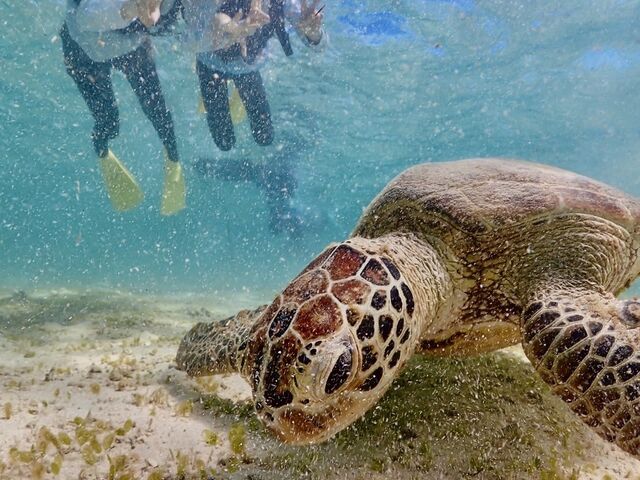 �ʐ^���������������B���Ă��炦�܂����I_���C��