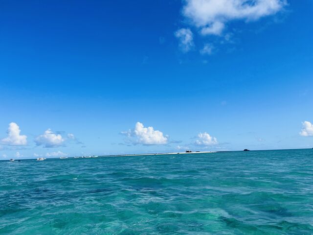 �����Ɍ�����l��_�u���[���O�[���Ί_��