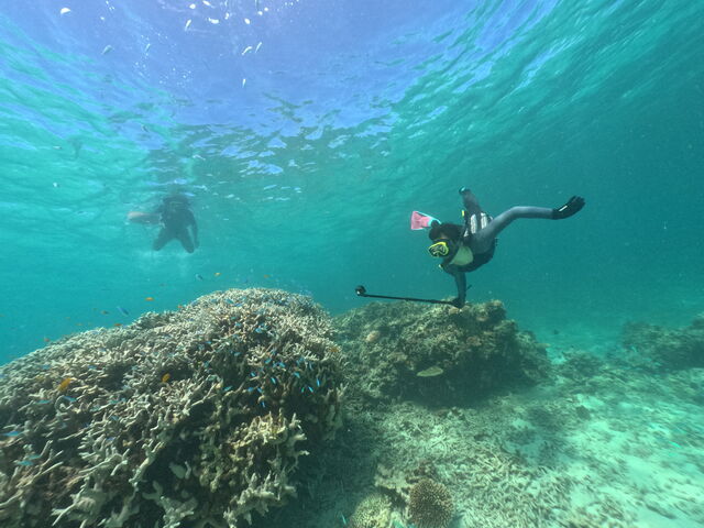 �������E_�u���[���O�[���Ί_��