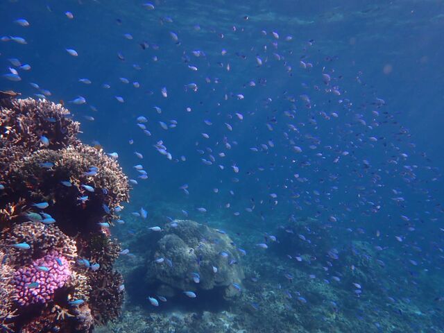 �˔@������Q���X�^�b�t���񂪃J�����ɔ[�߂ĉ������Ă��܂����I_PolePolemarine385