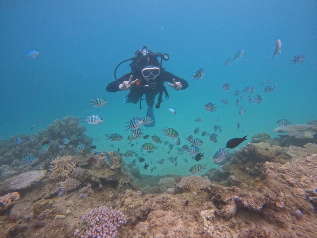 ���ɉa�������܂����[�I_�_�C�r���O�V���b�vTI.OCEAN