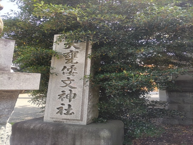 ����_���P�_��