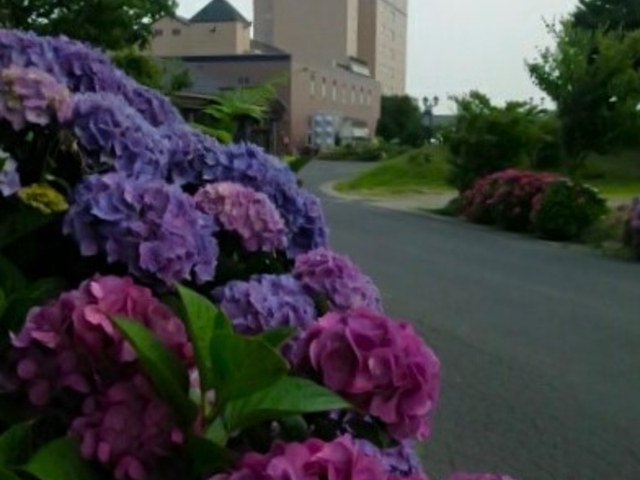 �������������o�}��_�z�e���O�������[���R�C��