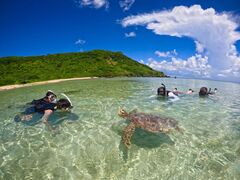 OCEAN LIFEւ̓eʐ^1