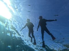 ̓A_CrOiThe Divej̎ʐ^1