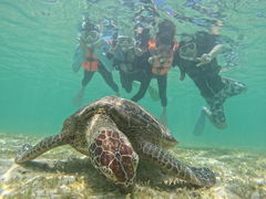 ܂Ȃnico {Óւ̓eʐ^1