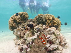 ���C�ʂ̎ʐ^2