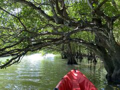 non̂ЂI[VYւ̓eʐ^1