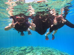 Ђ܂悳̉AChN[ւ̓eʐ^1