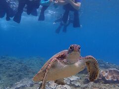 �݂킽�Ȃ���̉��v�����R�ē��ւ̓��e�ʐ^1