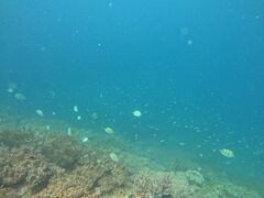 肳̃veNg_CrOւ̓eʐ^1