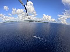 䂸̃}Vbv }[Chւ̓eʐ^1